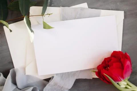 Blank paper copy space. Frame with flowers. Silk ribbon. Gray background. Sim Stock Photos
