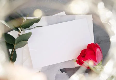 Blank paper copy space. Frame with flowers. Silk ribbon. Gray background. Sim Foto stock