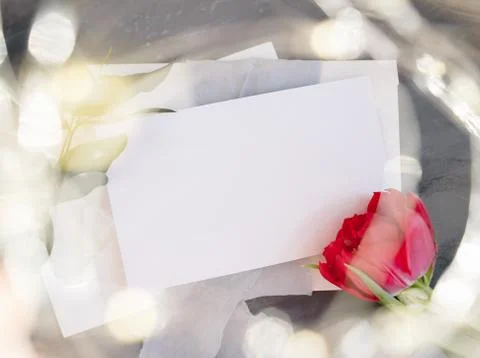 Blank paper copy space. Frame with flowers. Silk ribbon. Gray background. Sim Stock Photos