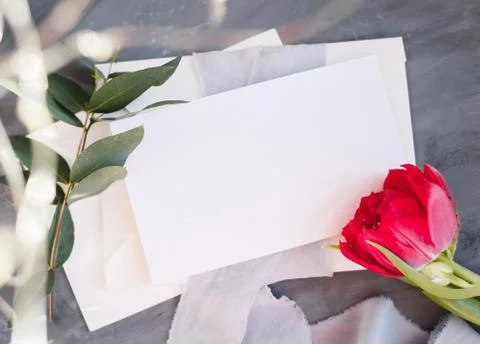 Blank paper copy space. Frame with flowers. Silk ribbon. Gray background. Sim Stock Photos