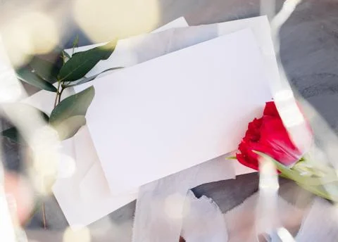 Blank paper copy space. Frame with flowers. Silk ribbon. Gray background. Sim Stock Photos
