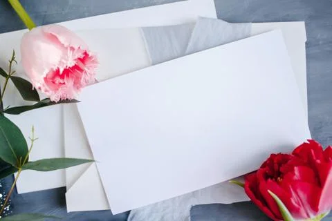 Blank paper copy space. Frame with flowers. Silk ribbon. Gray background. Sim Stock Photos