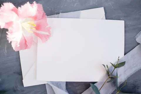Blank paper copy space. Frame with flowers. Silk ribbon. Gray background. Sim Stock Photos