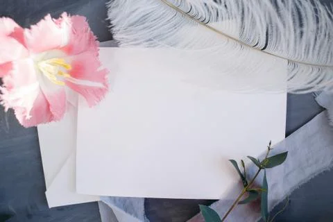 Blank paper copy space. Frame with flowers. Silk ribbon. Gray background. Sim Stock Photos
