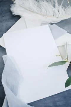 Blank paper copy space. Frame with flowers. Silk ribbon. Gray background. Sim Stock Photos