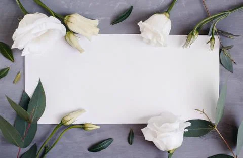 Blank paper copy space. Frame with flowers. Silk ribbon. Gray background. Sim Stock Photos
