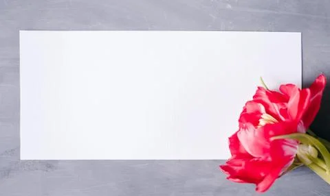 Blank paper copy space. Frame with flowers. Silk ribbon. Gray background. Sim Stock Photos