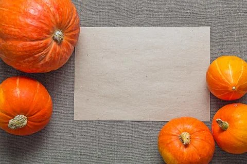 Blank paper with five pumpkins on sacking. Stock Photos