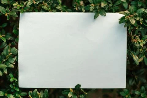 Blank paper note on green grass, top view with copy space 库存照片