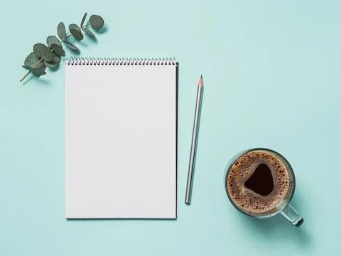 Blank paper notebook and eucalyptus. copy space 스톡 사진