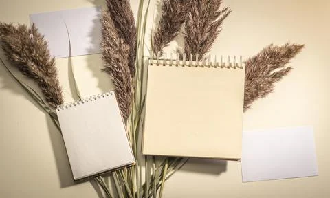 Blank paper, notebook sheets on beige background, top view. Blank spiral boun Stock Photos