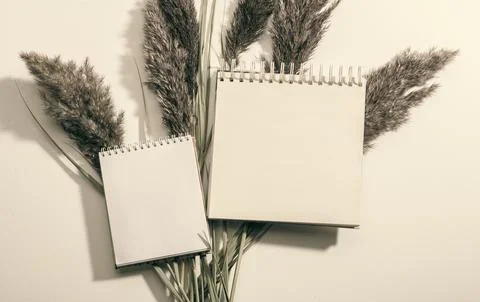 Blank paper, notebook sheets on beige background, top view. Blank spiral boun Foto stock