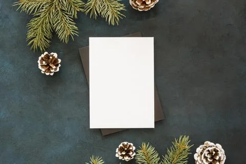 Blank paper surrounded by pine leaves cones. High quality photo Stock Photos
