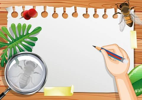 Blank paper on the table top view with leaves and insects elements Illustrazione stock