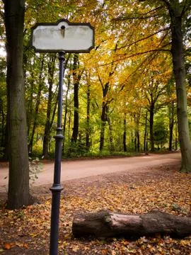 Blank path sign near narrow path in an autumn park. Stock Photos