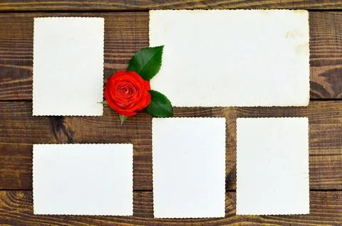 Blank photo frames Stock Photos