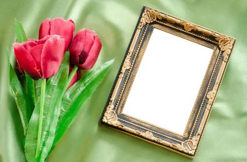 Blank Picture frames and red tulips flowers. Blank Picture frames and red ... Stock Photos