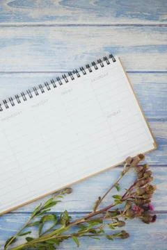 Blank planner mock up Stock Photos