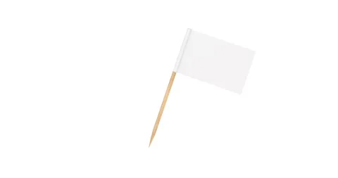 Blank Pointer Flag Seamless Looped Rotating on a white with Alpha Matte Stock Footage 233666393