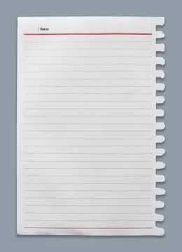Blank realistic spiral notepad notebook isolated on gray Stock Photos
