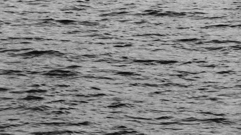 Blank river water surface Stock Footage 119499362