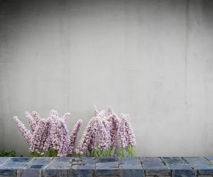Blank rock stone display shelf on plant cement wall Stock Photos