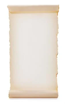 Blank rolled paper Foto stock