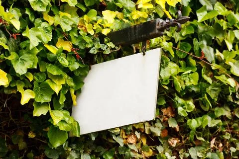 Blank rustic sign with foliage background Stock Photos