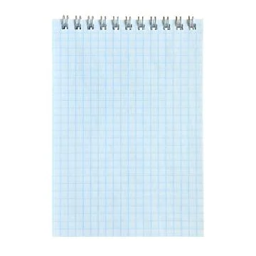 Blank sheet of notebook in a cage on an isolated white background Stock Photos