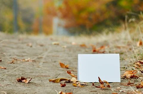 Blank sheet of paper Stock Photos