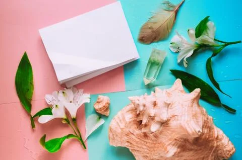 Blank sheet of paper. seashell for spa salon Stock Photos