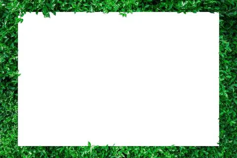 A blank sheet of white paper on a leaf background. Stock Photos