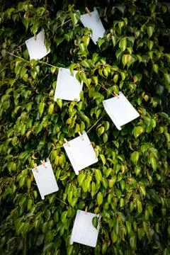 Blank sheets of paper Stock Photos