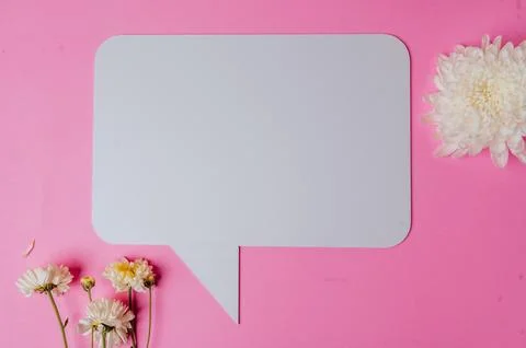 Blank speech rectangle with conner rounded and flower on pink background Stock Photos