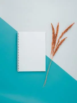 Blank spiral notebook with dry flowers on white and cyan background. Stock Photos