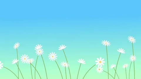 Blank Spring Background with Blooming Flowers and Copy Space 4K Animation Stock Footage 331846098