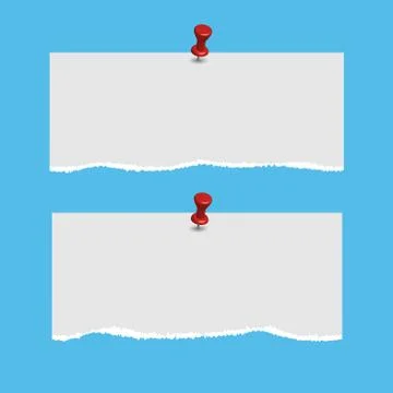 Blank squared notepad pages and pin. Note paper stuck with red pin. Stock Photos