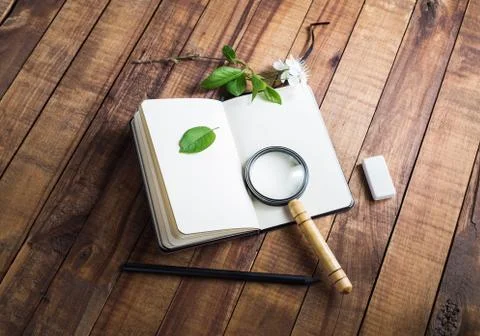 Blank stationery elements Stock Photos