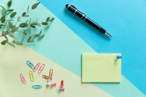 Blank sticky note, eucalyptus branch and pen on pastel paper background. Busi Stock Photos
