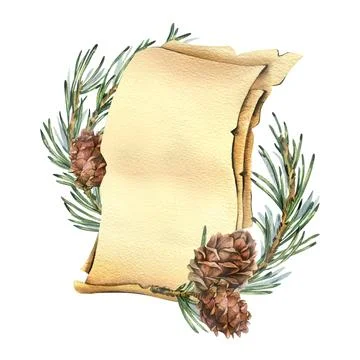 Blank template for text from craft sheets decorated with pine branches and cedar Stock Illustration