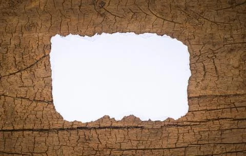 Blank Torn Paper Mockup on Weathered Wooden Background Stock Photos