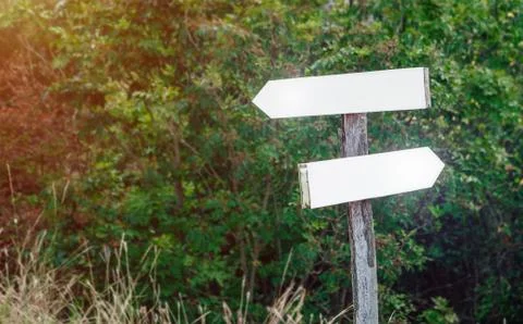 Blank track pointers or guidepost against green nature background. 写真素材