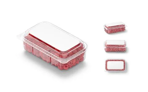 Blank transparent plastic box with raspberry mockup, different views Stock Illustration