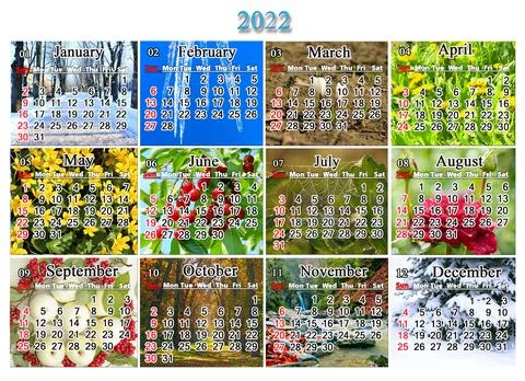 Blank with twelve colored images of nature for calendar Foto stock