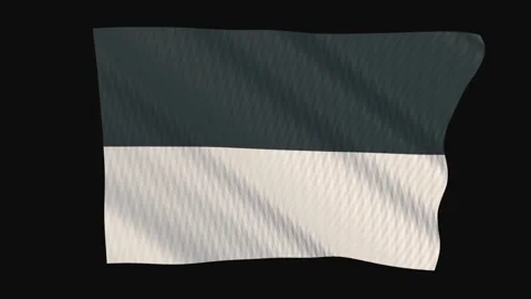 Blank two tone horizontal flag waving in the wind on a black background Видео 343208155