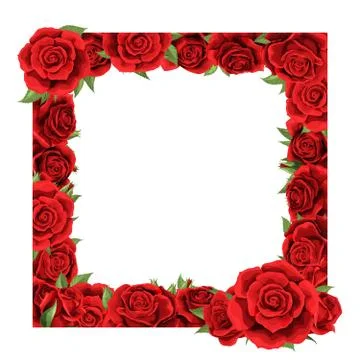 Blank vector frame with red rose flowers and leaves isolated on white Illustration