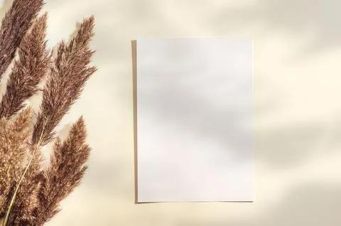 Blank vertical paper A4, invitation mockup, flat lay. Dry grass, sunlight. .. Stock Photos