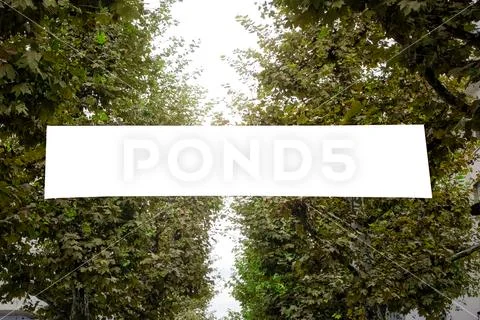 Blank White Banner Mockup Tree Canopies Sky Advertisement City Park Urban Stock Photos