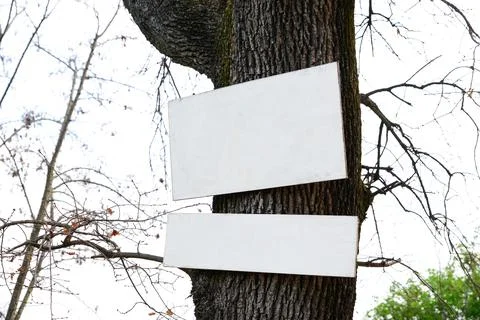 Blank white boards attached to tree trunk outdoors. Space for text 写真素材