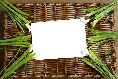 Blank White Card in Rustic Wicker Basket Frame Surrounded by Green Leaves – Flat Stock Photos